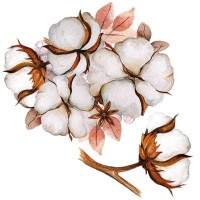 Dekorácia na stenu SECRET GARDEN Cotton Set - kvet bavlna 