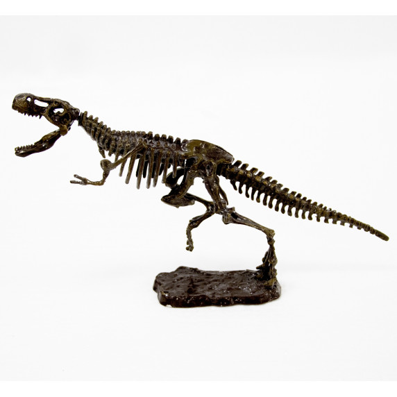 Sada pre malých paleontológov T-Rex Aga4Kids MR1387