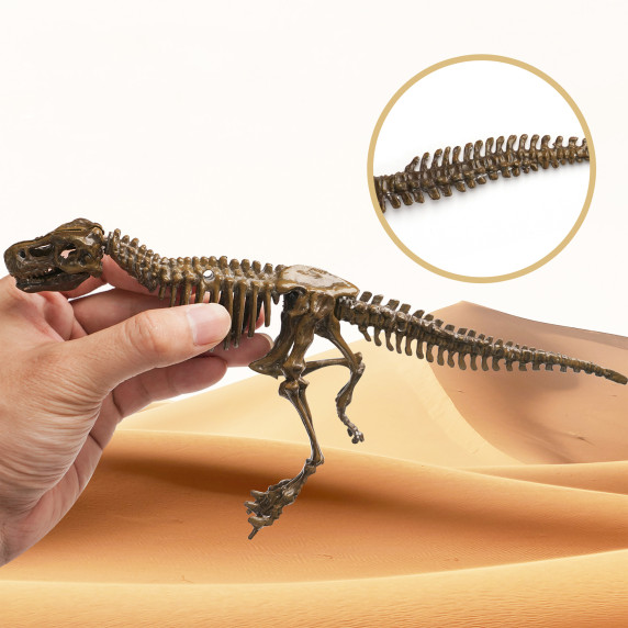 Sada pre malých paleontológov T-Rex Aga4Kids MR1445