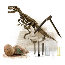 Sada pre malých paleontológov T-Rex Aga4Kids MR1445 Preview