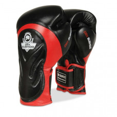 Boxerské rukavice DBX BUSHIDO BB4 Preview
