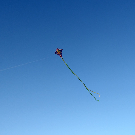Lietajúci šarkan 60 x 70 cm MASTER - raketa